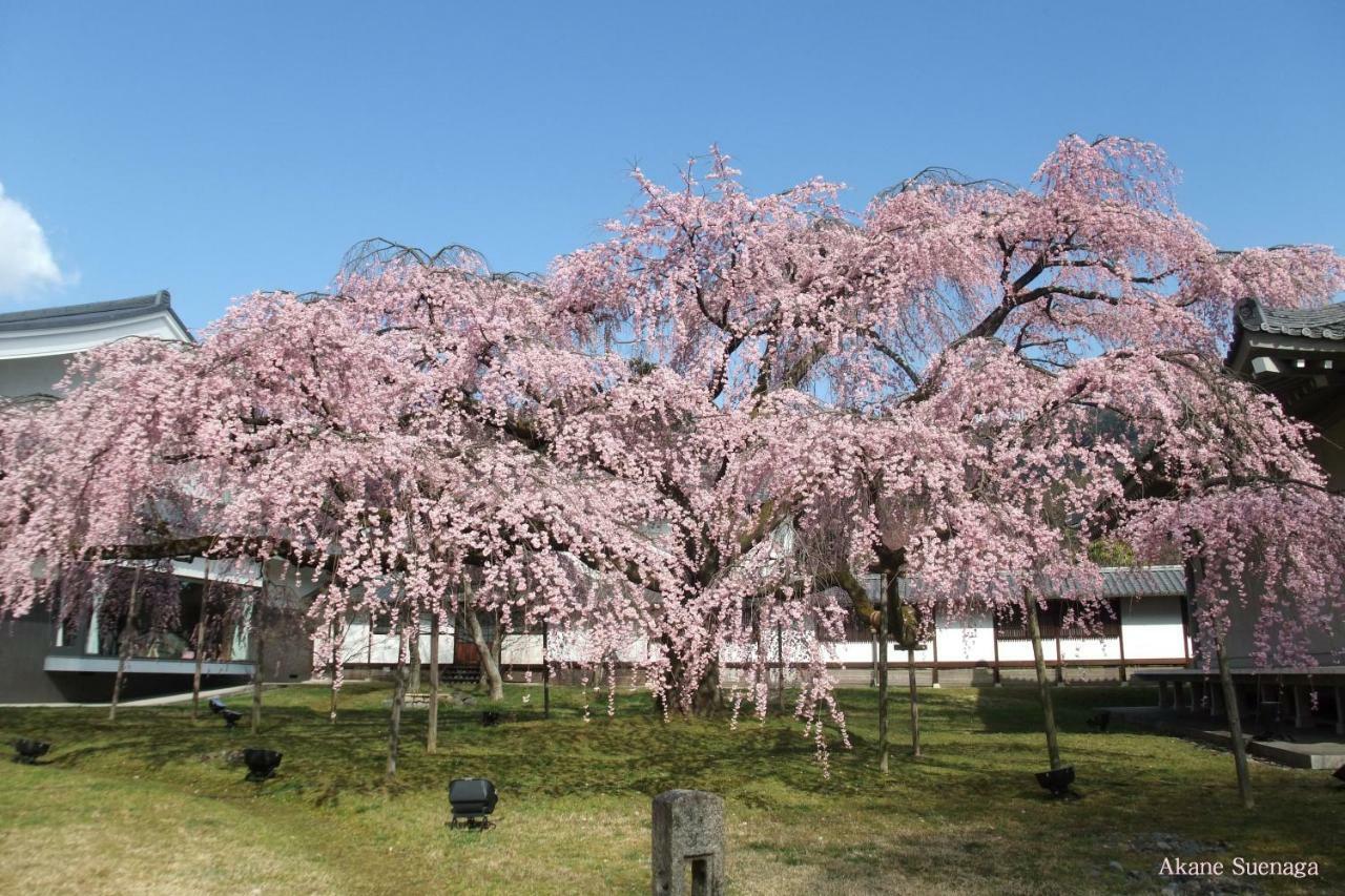 Kyoto Home Higashikujo Eksteriør billede